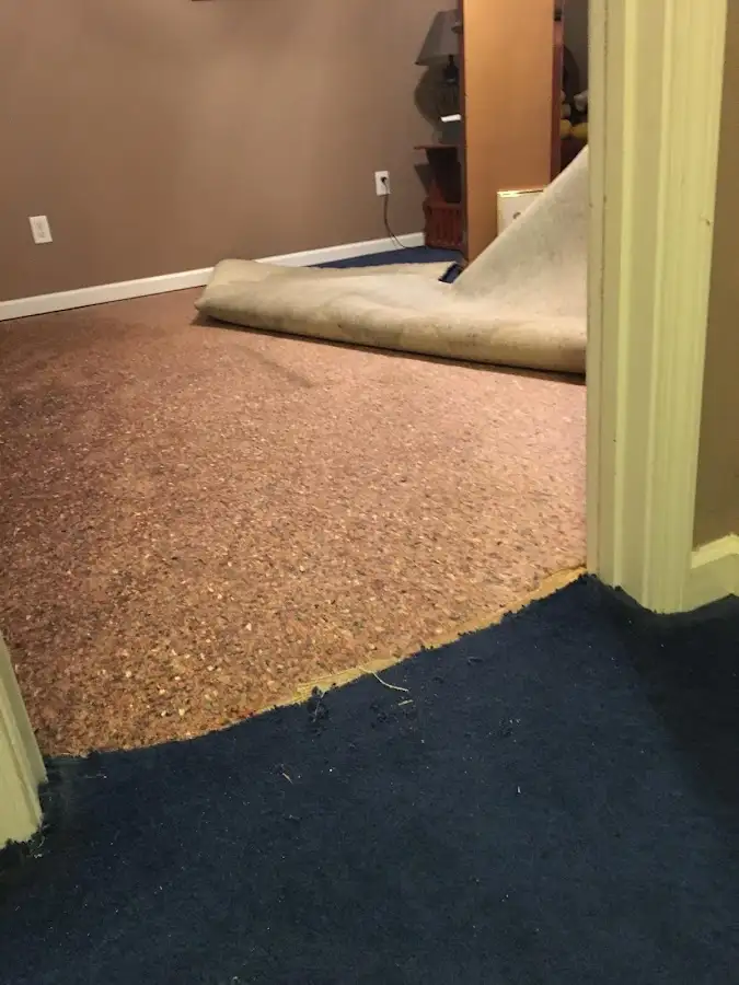 Carpet pad removal revealing water damage during Water Mitigation Services in Wilson